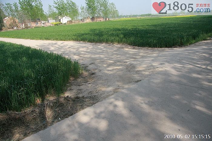 从这里开始通向村里,现在是五月且没有下雨所以感觉不出来土路泥泞