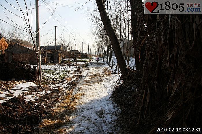 冬天村里面的道路为了便于行走,好多水洼地被铺上了稻草