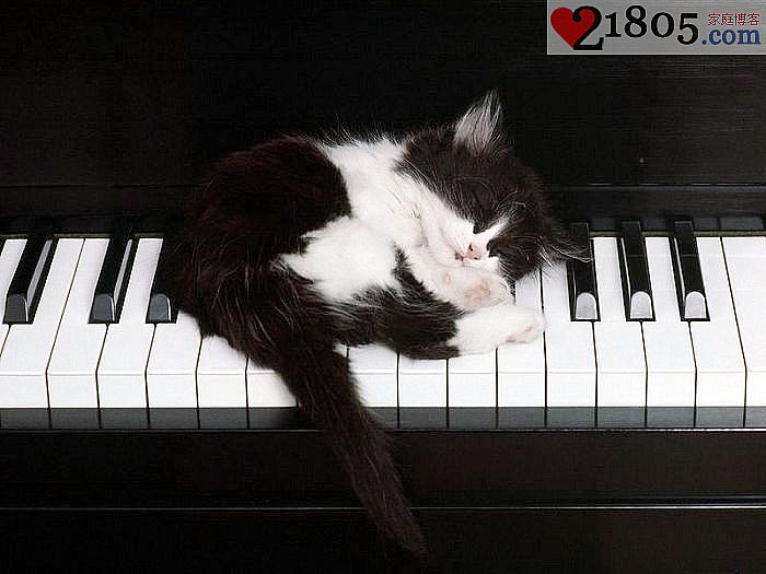 有点失眠,一点没有睡意没有