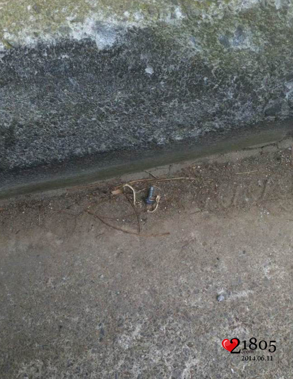 小区路面上的钉子
