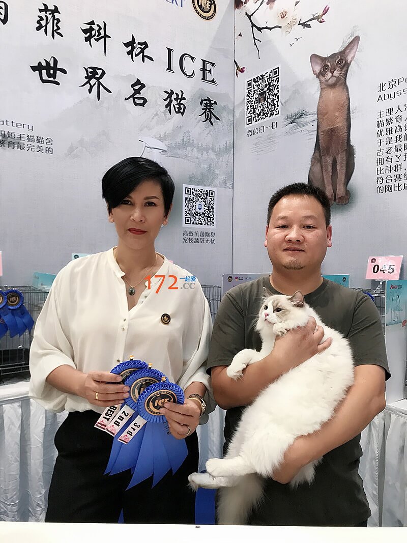 比赛成绩不错