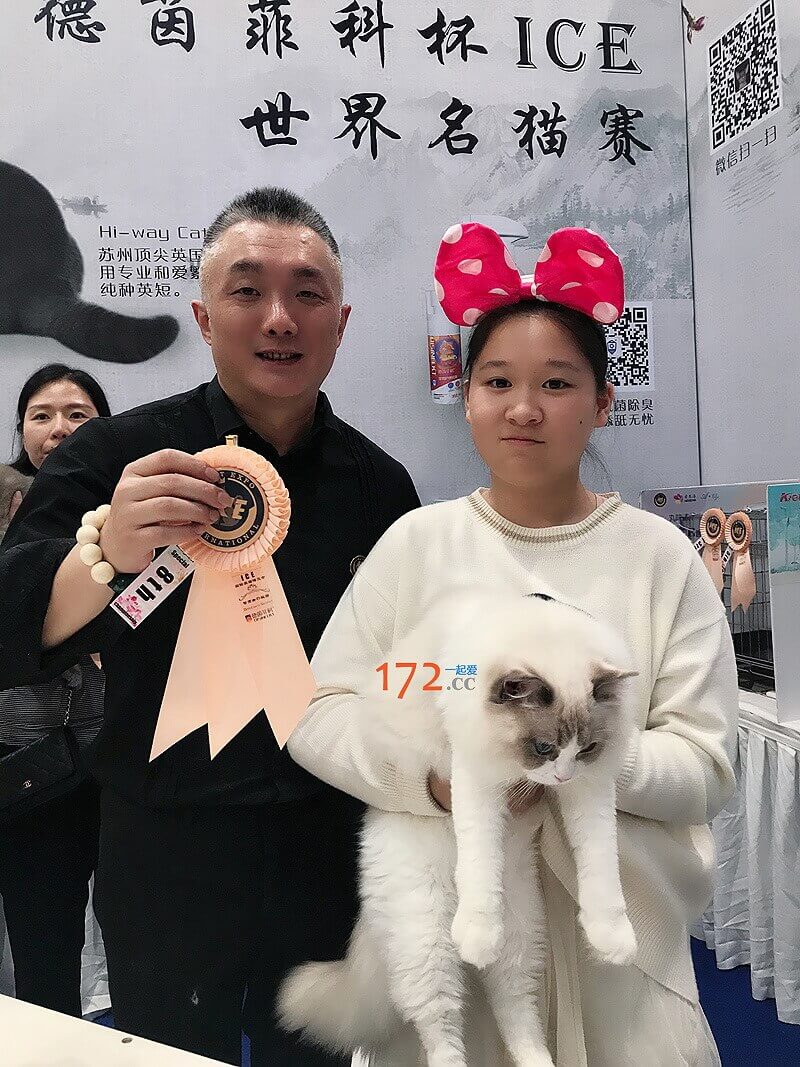 比赛成绩不错